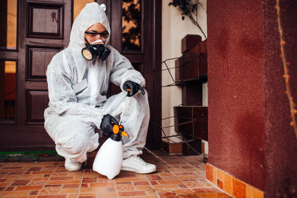 Reliable Ant Control contractor in Rose Hill, KS by Nex Pest Control